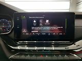 Škoda Octavia (2022) Combi Sportline 2.0 TSI 4x4 (1 - náhled 20
