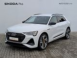 Audi e-tron (2021) S-Line 55 Quattro - náhled 1