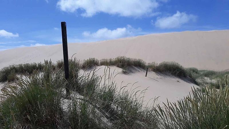 Obří písečná duna Rubjerg Knude vytváří na samotném severu Dánska dojem mnohakilometrové pouště.