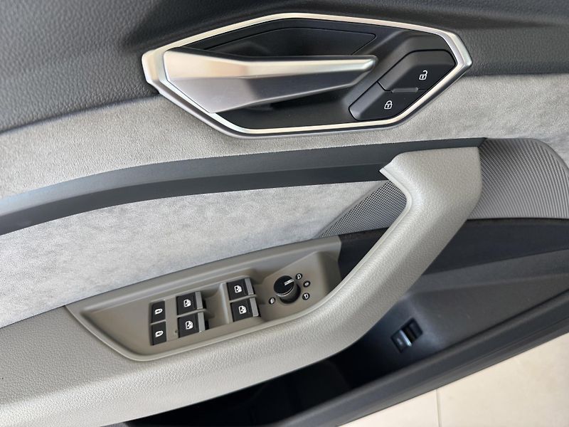 Audi e-tron 55 Quattro*300kW*NočníVidění - fotka 29 z 35