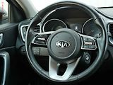 Kia Ceed (2021) 1.5 T-GDi, 1.maj,ČR, Spin - náhled 11
