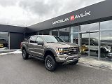 Ford F-150 TREMOR - náhled 1
