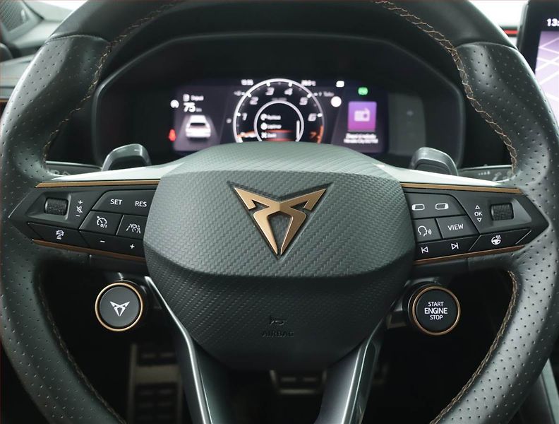 Cupra Formentor (2020) 2.0 TSI VZ 4Drive - fotka 16 z 18