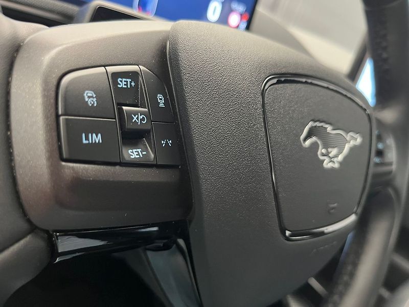 Ford Mustang Mach-E SoH 94,5 %, po servisní prohlí - fotka 18 z 68