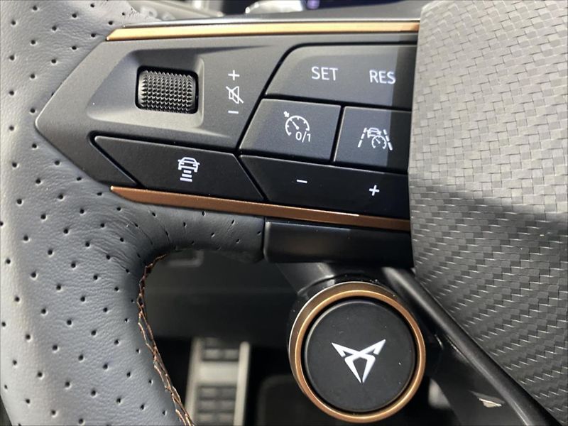 Cupra Ateca 2,0 TSI 221kW DSG 4Drive - fotka 22 z 29