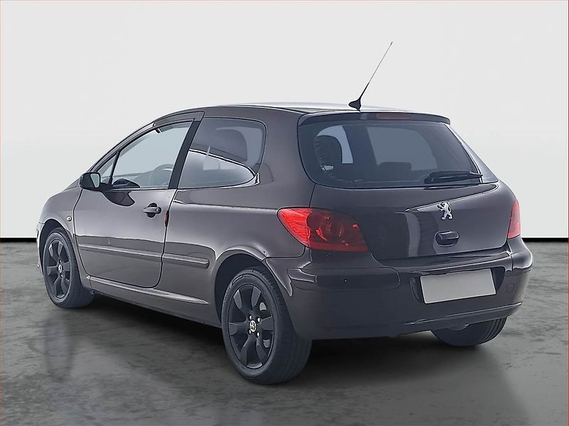 Peugeot 307 (2006) 1.6 16V, nová STK - fotka 4 z 14