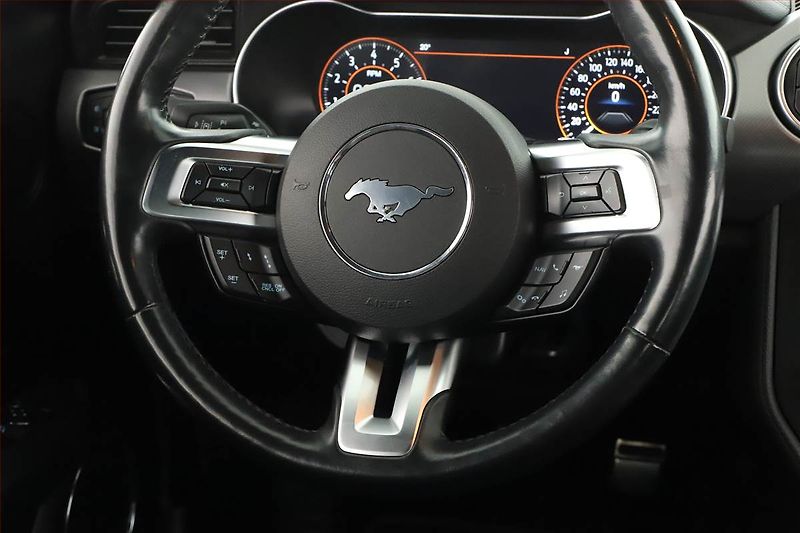 Ford Mustang (2018) GT V8 5.0 - fotka 8 z 20