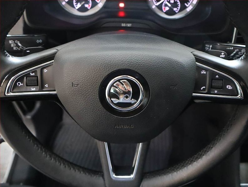 Škoda Kodiaq (2017) 2.0 TDI, Automat, Navi - fotka 21 z 24