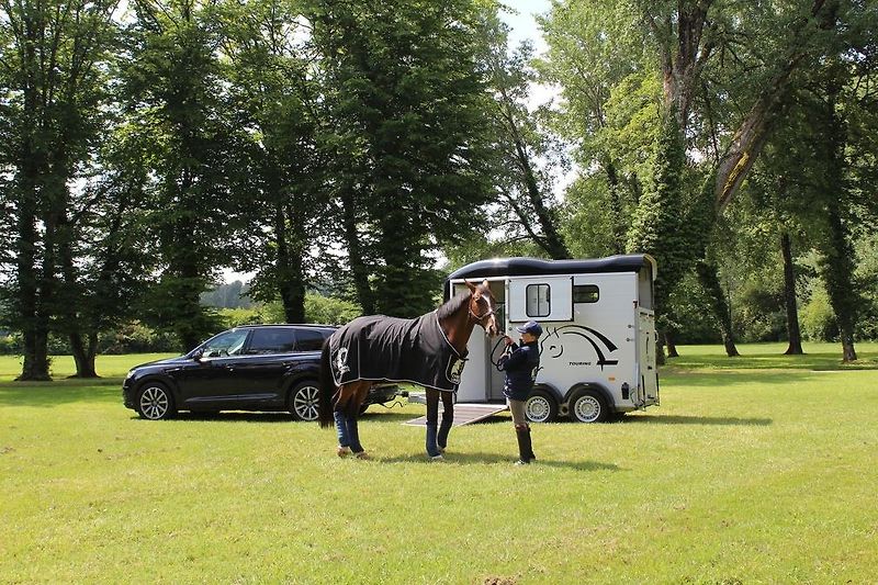 Cheval Liberté (2026) Touring Country, ČERNÝ - fotka 19 z 22