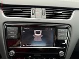 Škoda Octavia (2019) 1.6 TDi, ČR, Ambition - náhled 16