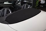 Mercedes-Benz AMG GT Roadster/Burmester/Carbon/Alca - náhled 20