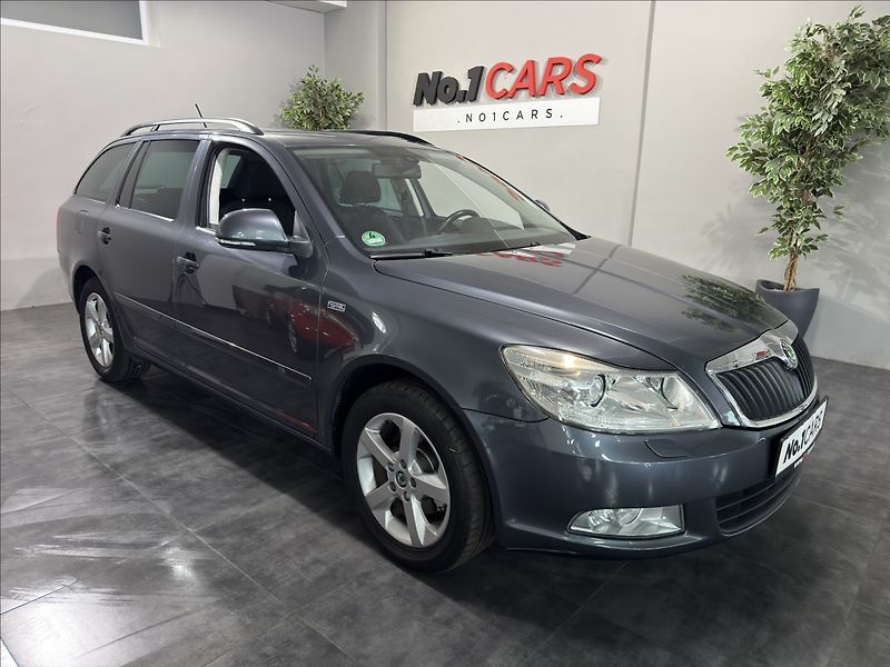 Škoda Octavia 1,4   TSI FAMILY XENON ŠÍBR TZ - fotka 2 z 45