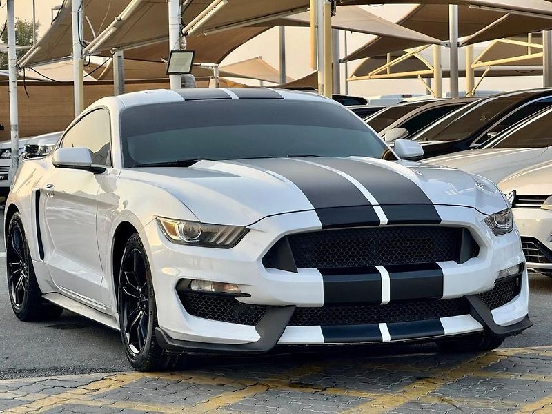 Ford Mustang (2017) Pro milovníky Ameriky - fotka 7 z 16