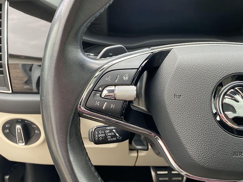 Škoda Kodiaq (2021) 2.0 TDI 4x4 DSG L&K - fotka 18 z 41