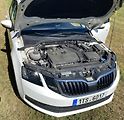 Škoda Octavia (2019) - náhled 12