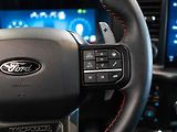Ford F-150 (2025) 3.5 Raptor V6, FOX Racing 4x4 - náhled 19