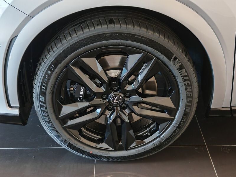 Lexus RX 500h 500h F Sport Special Edition - fotka 15 z 43