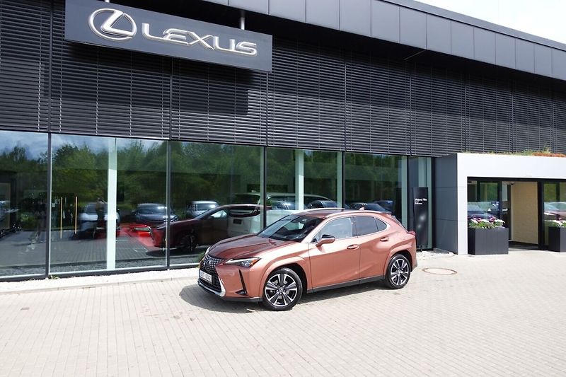 Lexus UX 300h UX300h Luxury 4x4 - fotografie inzerátu