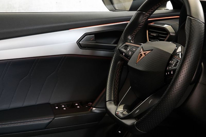 Cupra Formentor 2.0TDI 110kW 4x4 DSG DCC Webas - fotka 14 z 39