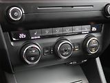 Škoda Octavia (2014) 1.6 TDI, ČR,1.maj, Tempomat - náhled 16