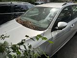 Škoda Octavia - náhled 10