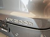 Lexus UX 300h 300h 4x2 F Sport Design - náhled 11