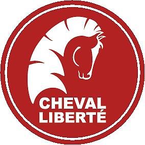 Cheval Liberté (2026) TOURING ONE modrý,přední rampa - fotka 38 z 38
