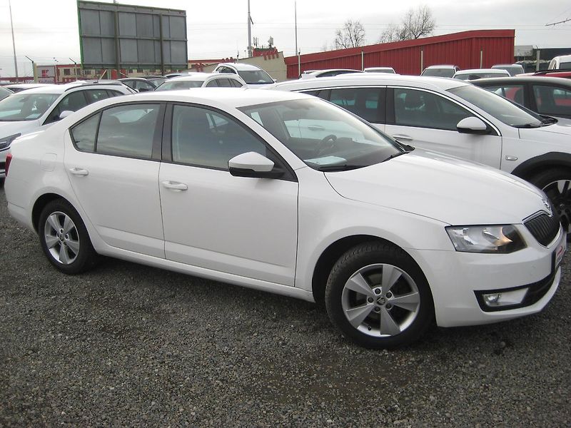 Škoda Octavia 1.4i CNG STYLE 1.maj DPH! ČR! - fotka 10 z 33