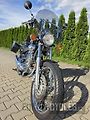 Yamaha XV 500 Virago (1995) - náhled 3