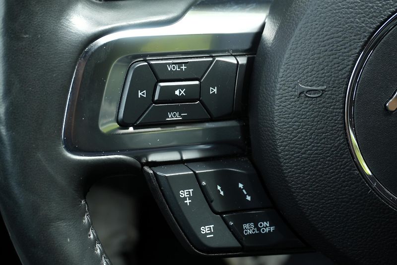 Ford Mustang 5.0 V8 GT, DPH, ACC, Ventilace - fotka 18 z 35