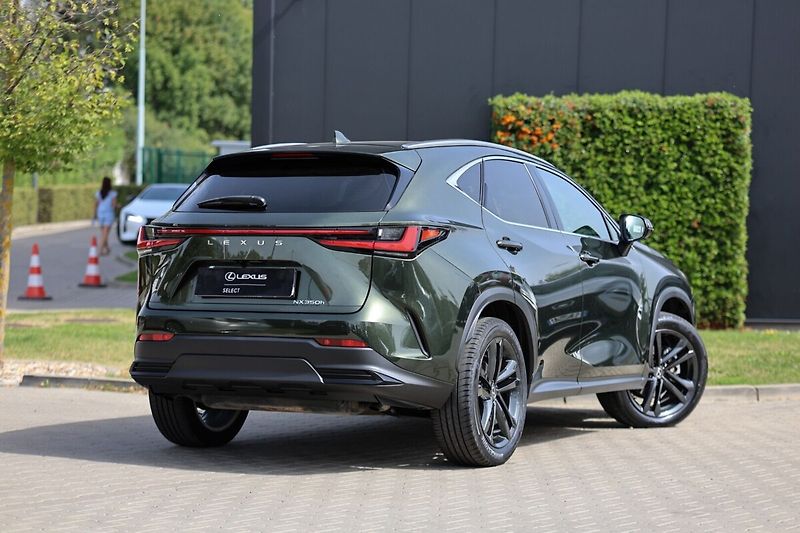 Lexus NX 350h 350H 2,5 HEV PRESTIGE - fotka 4 z 26