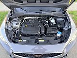 Cupra Formentor 1.5TSI 110KW DSG LED  - náhled 52