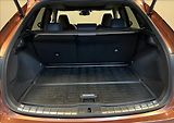 Lexus RX 500h 2,4 HEV F SPORT PLUS PANORAMIC - náhled 9
