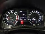 Škoda Fabia (2017) Monte Carlo 1.2 TSI, Tempomat - náhled 10