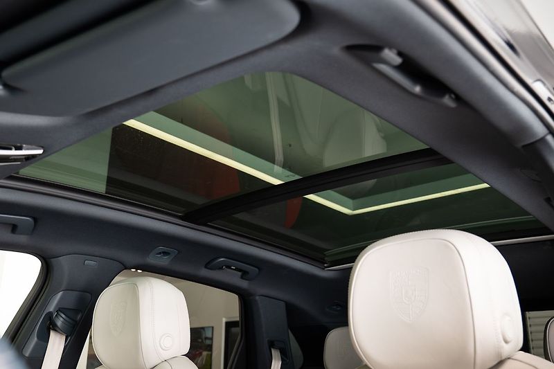 Porsche Cayenne E-Hybrid Platinum Edition/Bose - fotka 11 z 28