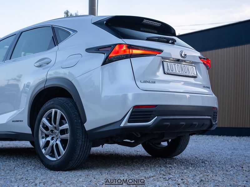 Lexus NX 300h (2020) 2.5 Hybrid AWD adaptív, Navi - fotka 17 z 19