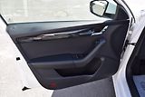 Škoda Octavia (2020) 2.0TDI 110kw AMBITION NAVI APP - náhled 19