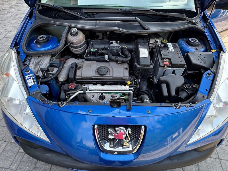 Peugeot 206 (2009) JUNIOR 1.1 - fotka 29 z 30