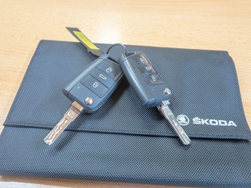 Škoda Octavia (2018) ČR 2.0TDI 110KW DSG – NAVIGACE - fotka 46 z 46