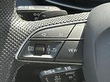 Audi Q7 3.0 50 TDI quattro tiptronic S - náhled 18