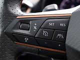Cupra Formentor 2,0 TSI VZ 228kW DSG 4x4 DPH - náhled 24