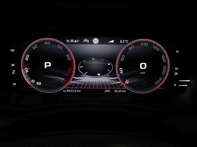 Škoda Kamiq 1,0 TSi DSG Monte C. 8660km! - fotka 25 z 25