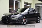 Alfa Romeo Giulia 2.0T 16V 206kW VELOCE AT8 Q4 - náhled 1