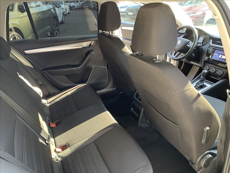Škoda Octavia 2,0 TDI DSG 4X4,1.MAJ,ČR - fotka 16 z 18