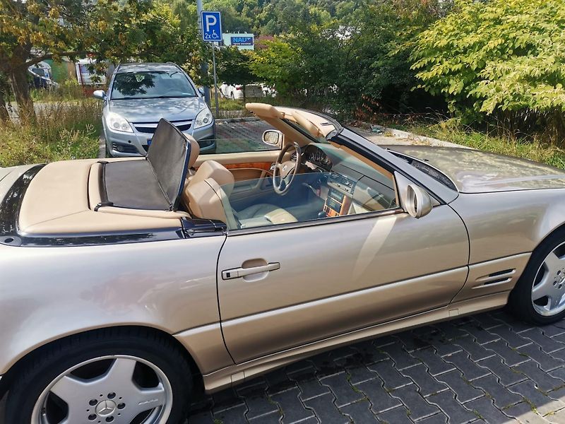 Mercedes-Benz SL (2001) 5.0 /225kW - fotka 11 z 13