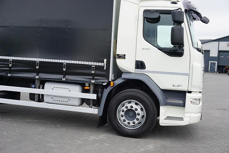 DAF LF (2019) 290 / E 6 / FIRANKA + WINDA /  - fotka 18 z 44