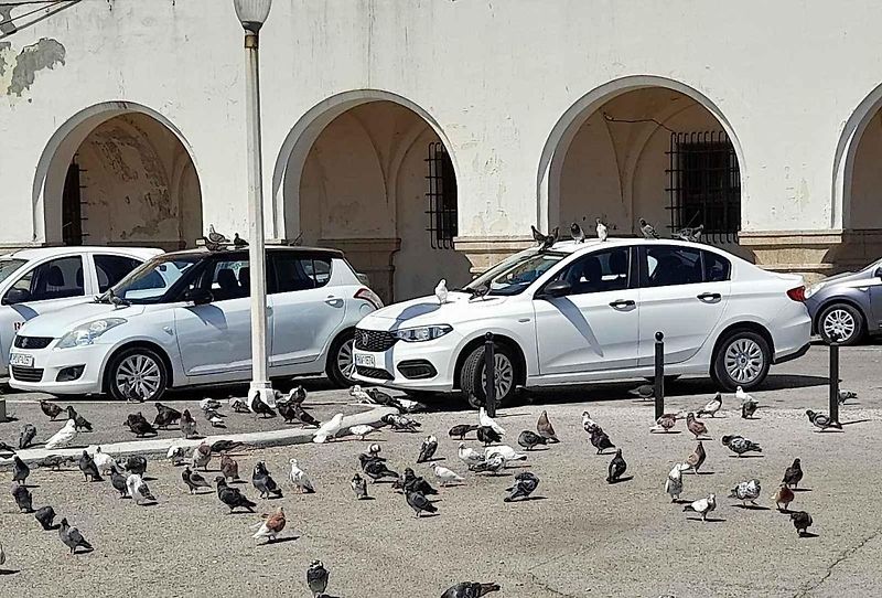 TOP Rock park v Gibraltaru a neobvyklá výstražná značky Hadi s dodatkovou cedulí Slow - zpomal.