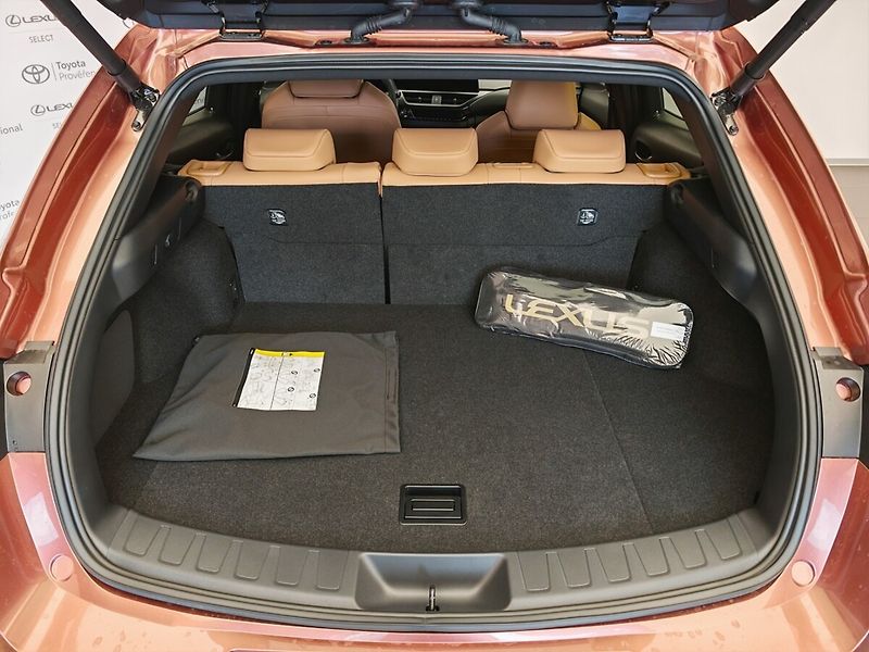 Lexus UX 300h F Sport Design 300H - fotka 12 z 44