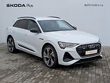 Audi e-tron (2021) S-Line 55 Quattro - náhled 27