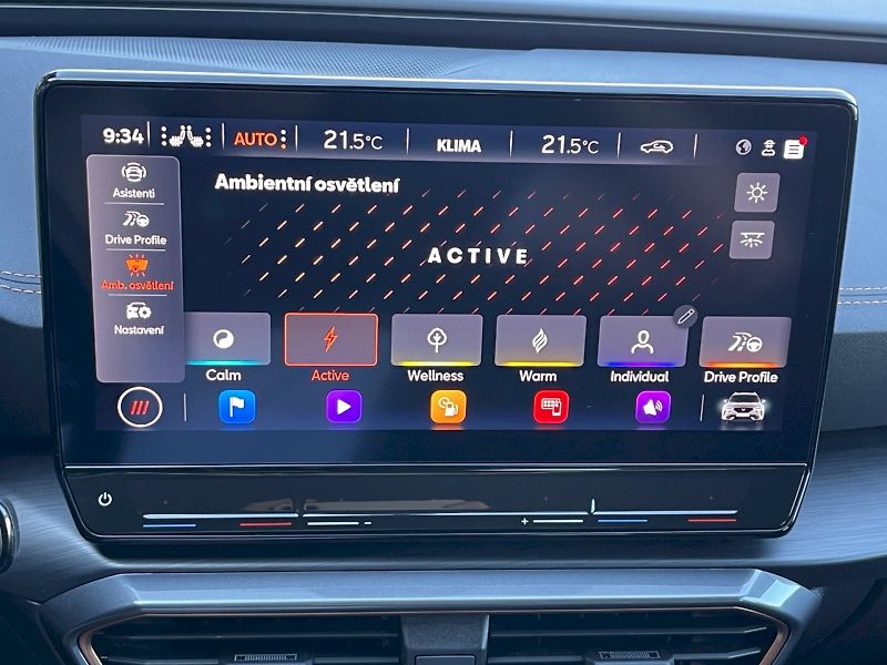 Cupra Formentor (2024) 1.5 TSI 110 kW DSG Basis - fotka 19 z 35